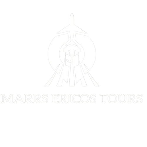 mars-ericos-white-logo